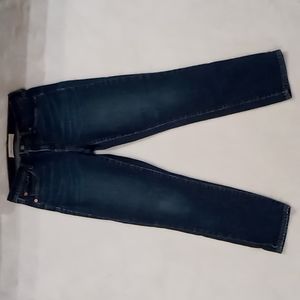 Gap 1969 Blue jeans size 27